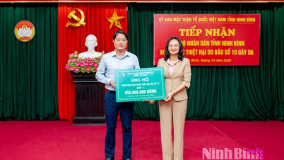 Jawatankuasa Front Tanah Air Vietnam di wilayah itu menerima lebih daripada 99 bilion VND untuk menyokong penduduk di kawasan bencana alam.