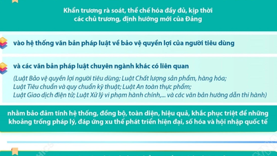 Θεσμοθέτηση της πολιτικής του Κόμματος στο νομικό σύστημα για την προστασία των δικαιωμάτων των καταναλωτών