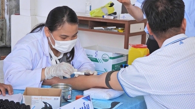 В ответ на Всемирный день борьбы с диабетом 14 ноября 2025 г.