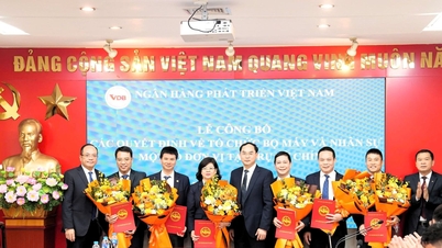Ngân hàng VDB: Sắp xếp tổ chức bộ máy gắn với mô hình quản lý rủi ro tín dụng