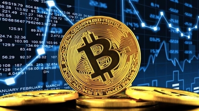 비트코인 폭락, 시장 공황