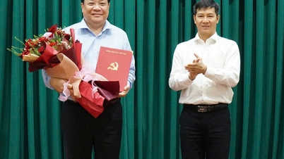 Herr Pham Thanh Ngai wurde zum stellvertretenden Sekretär des Provinzparteikomitees von Dong Thap ernannt.