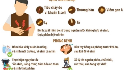 Předcházejte běžným onemocněním způsobeným jídlem a pitím během období dešťů