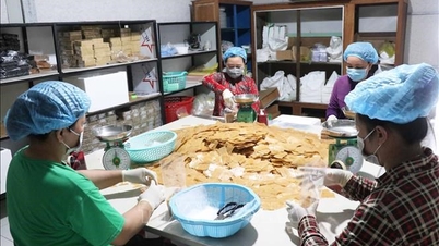 सामूहिक कृषि अर्थव्यवस्था को बढ़ावा देना