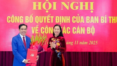 El Sr. Vo Trong Hai ocupa el cargo de Secretario Adjunto del Comité Provincial del Partido de Nghe An.