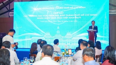 20 Kasım'daki toplantının ardından Ho Chi Minh Şehri'ndeki yükseköğretim kurumlarından birçok pratik öneri