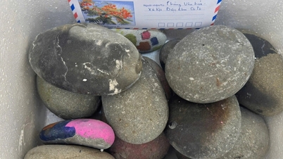 أخذ أحد العملاء سراً 14 كيلوغراماً من الحصى في مقاطعة تو، لكنه قام بشكل مفاجئ بإعادتها بعد مرور ما يقرب من 10 سنوات.