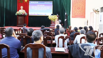 Улучшение возможностей мониторинга безопасности пищевых продуктов