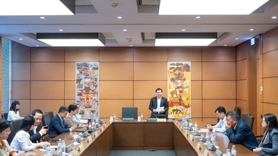 Bảo đảm tính khả thi trong triển khai cơ chế đặc thù về giáo dục, y tế