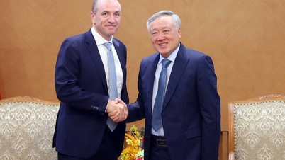 Permanent Deputy Prime Minister Nguyen Hoa Binh received the General Director of Haeco Group