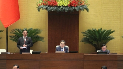 បញ្ជាក់ព្រំដែនរវាងប្រភេទមូលនិធិទាំងពីរ ដោយធានាថាគ្មានការប្រើប្រាស់ឆ្លងកាត់