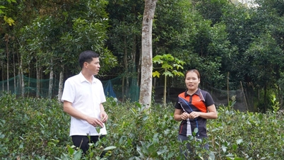 Yen Phong Commune, Thai Nguyen: Promoting internal strength, firmly stepping on the journey to escape poverty