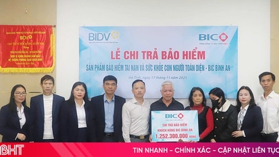 شعبه BIDV Ha Tinh پرداخت بیش از 1.2 میلیارد دانگ ویتنامی خسارت بیمه به مشتریان را هماهنگ کرد.