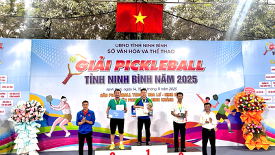 Bijna 1.000 atleten nemen deel aan het Ninh Binh Pickleball-toernooi van 2025