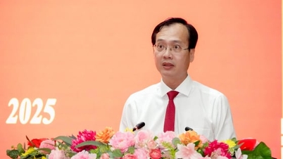 عينت اللجنة المركزية السيد تران تري كوانج نائبا لأمين لجنة الحزب في مقاطعة فينه لونغ.