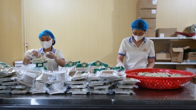 De keten verbinden om de kwaliteit van de vis in het Thac Ba-meer te verbeteren