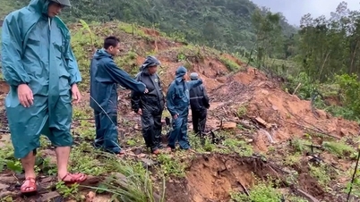 Mange sprekker oppdaget på Ngang-fjellet, Da Nang evakuerte 59 husstander raskt