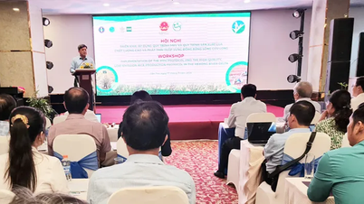 MRV eljárás és kiváló minőségű, alacsony kibocsátású rizs előállítási folyamatának bevezetése a Mekong-deltában