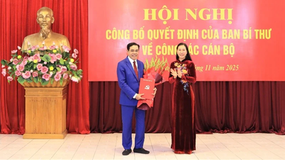 Kunngjøring av beslutningen om å overføre og utnevne assisterende sekretær for Nghe An provinsielle partikomité