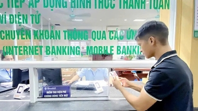 Phu Tho mobilizează resurse private pentru proiecte digitale cheie