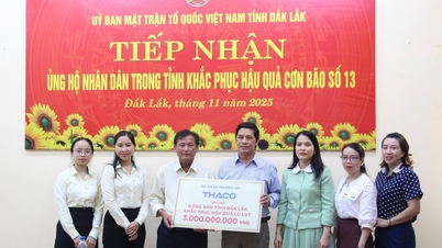 A Truong Hai Group 3 milliárd VND-vel támogatja Dak Lak tartományt a 13-as vihar következményeinek leküzdésére.