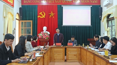 Ministry of Education and Training surveyed illiteracy eradication work in Ba Son commune