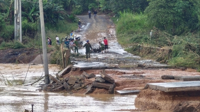 প্রদেশে ভারী বৃষ্টিপাত, বন্যা, বন্যা এবং ভূমিধসের জন্য জরুরি ভিত্তিতে সাড়া দিন