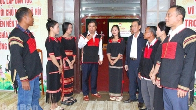 Le secrétaire provincial du Parti de Dak Lak, Luong Nguyen Minh Triet, a assisté au Congrès...