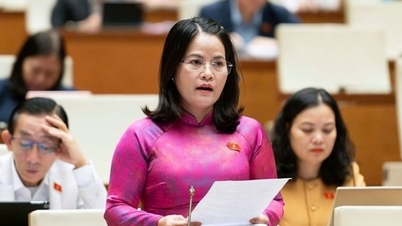 Пропозиція щодо підтримки державних службовців у разі втрати ними роботи через реорганізацію