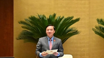 दो प्रकार के आपराधिक रिकॉर्ड के उपयोग के उद्देश्य को स्पष्ट रूप से परिभाषित करें