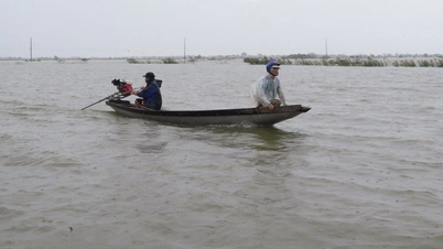 De overstromingen op de Parfumrivier en de Borivier namen toe, waardoor duizenden huizen in Hue overstroomden.
