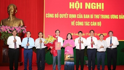 A Dong Thap tartományi népbizottság elnöke, Tran Tri Quang a Vinh Long tartományi pártbizottság titkárhelyettese.