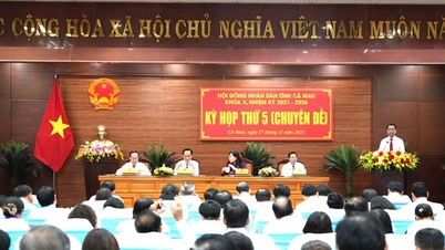 Lu Quang Ngoit választották meg Ca Mau tartomány Népi Bizottságának elnökévé.