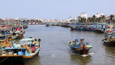 Aprovação do Plano de Implementação do Acordo da OMC sobre Subsídios à Pesca de 2022