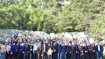 ארגון מוצלח של טיול לימודים מעשי לשיעור הכשרה בשפה של בני מיעוט אתני - קבוצה א' (שיעור שפת טיי 02, שיעור שפת טיי 03)