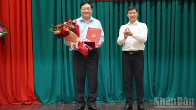 O camarada Pham Thanh Ngai ocupa o cargo de Secretário Adjunto do Comitê Provincial do Partido e Presidente do Comitê Popular da província de Dong Thap.