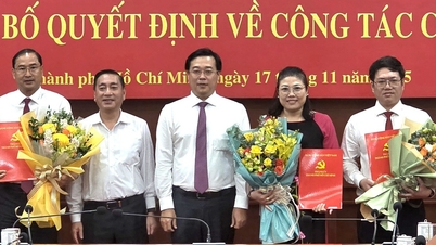 Thành ủy TP.HCM chỉ định, điều động 9 lãnh đạo sở ngành, xã phường