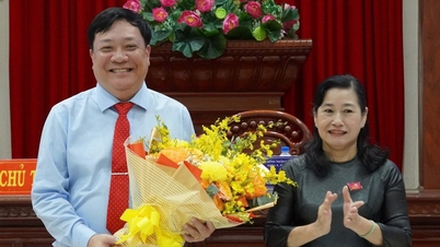 Ông Phạm Thành Ngại được bầu làm chủ tịch UBND tỉnh Đồng Tháp