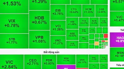 Stock market November 18: Opportunity to transfer capital to stocks to attract cash flow