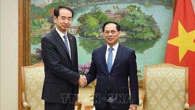 รองนายกรัฐมนตรี บุย แทงห์ เซิน ให้การต้อนรับเอกอัครราชทูตจีน เหอ เหว่ย