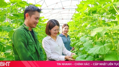 Η κοινότητα Thach Lac σχεδιάζει περισσότερα από 56 εκτάρια βιολογικής παραγωγής ρυζιού