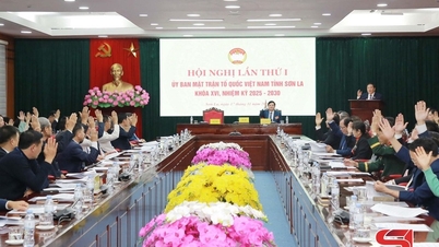Den første konferansen til Vietnams fedrelandsfrontkomité i provinsen, periode XVI, 2025–2030