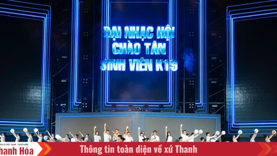 フェニカ大学は、K19の新入生を歓迎するためにシンクシティ音楽フェスティバルを開催しました。