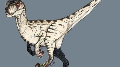 Velociraptor: សត្វមំសាសីតូចមួយប៉ុន្តែជាយុទ្ធសាស្ត្រ