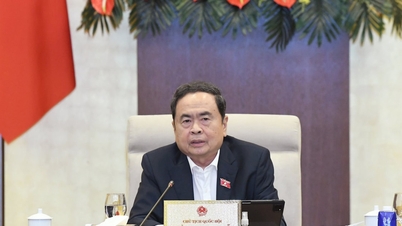 Programme national ciblé pour moderniser et améliorer la qualité de l'éducation et de la formation : garantir une vision à long terme et anticiper les tendances du développement social