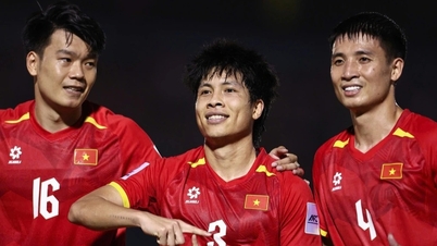 Vietnams lag fick oväntat goda nyheter från FIFA trots att de inte har spelat än.