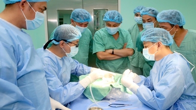 Levertransplantasjon fra Vietnam redder livet til et 2 år gammelt barn med medfødt biliær atresi