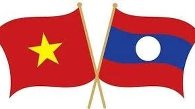 ربط التجارة العادلة والترويج لمنتجات الشركات الفيتنامية اللاوسية 2025