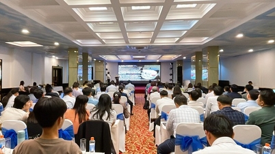 Дельта Меконга вступает в новую фазу: стандартизация высококачественных процессов производства риса, сокращение выбросов и повышение ценности