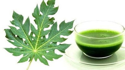 5 فوائد غير متوقعة لأوراق البابايا